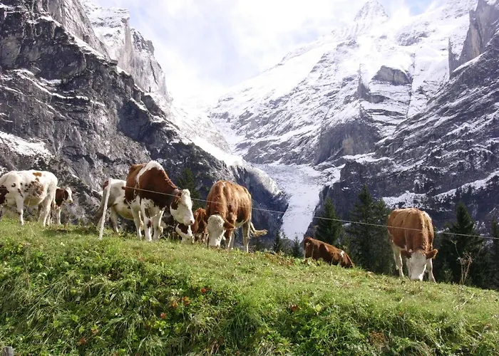 Firstsunne Grindelwald